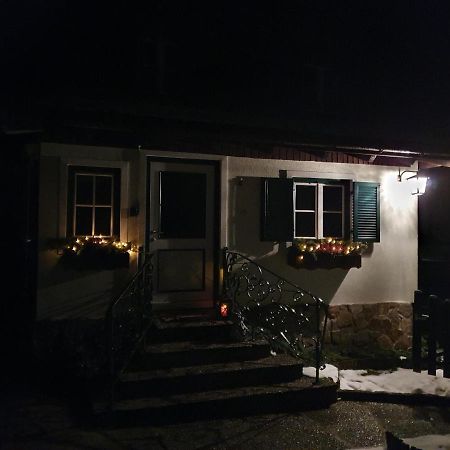 Ferienhaus Waldglueck Гозау Екстер'єр фото
